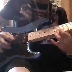 CIENTIFICO(P.CALLEJEROS).