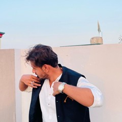 Hadi Hassan Tareen