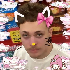 zisa gatos fofos