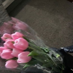 𝔸𝕝𝕞𝕖𝕚𝕕𝕒