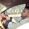 Vishal Sehgal