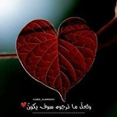 Hodhod Gandar