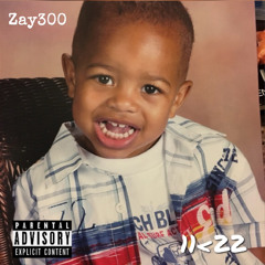 Zay300
