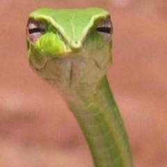 Allah is watching