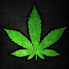 🍁