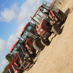 silage