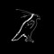 callbird.