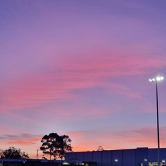 Tyler Performs Actions