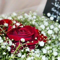 Reem M. Mohammed