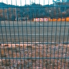 L⚽uis