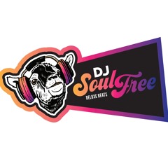 Dj Soul Free