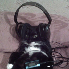 .  へ-----へ ฅ(◑︿◐) ฅ