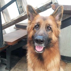 Marcelo Wainschenker