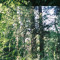 radial gradient