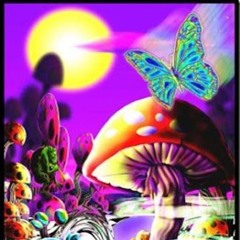 Guecko Les Art