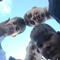 Euan_McN1c9l