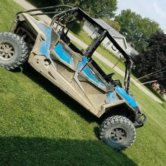 彼女のようなものを手に入れた