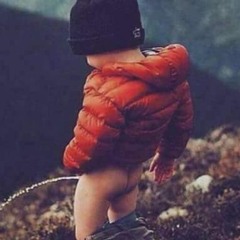 رائد