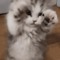 Mellon_C==cutie