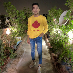 amr ibrahim