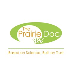 PDOC 2021 - 10 - 28 Dr. Jill Kruse - Wound Care