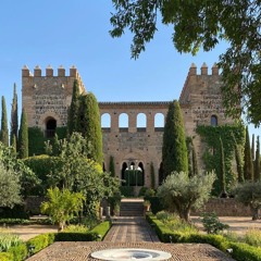 FLB - الشاطبية