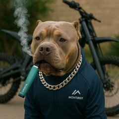 faggotslayer526