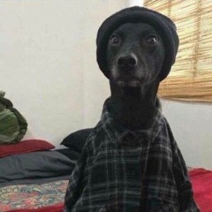 youngboiusauf