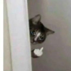 Sayonara Ponytail - Romance 160k