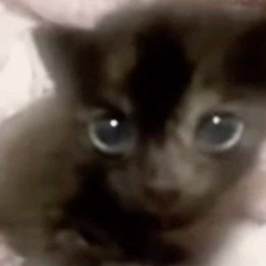 Boody.turned.to.Ashes