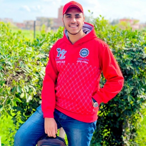 Mahmoud Zidan’s avatar