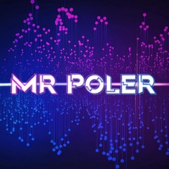 Mr poler V13