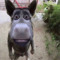 User 63216195