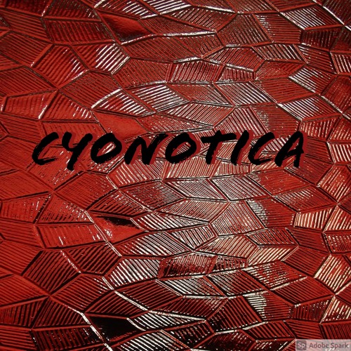 Cyonotica’s avatar