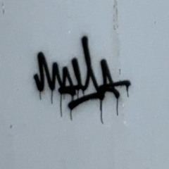 maya