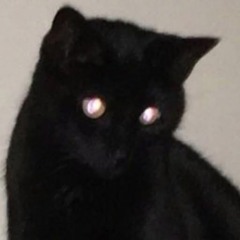 killbisa