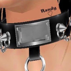 Randy Bands