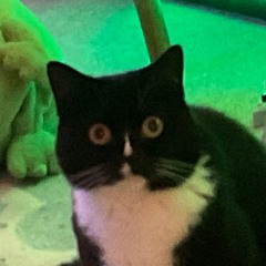 pizzazcat780