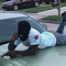 luhguapo
