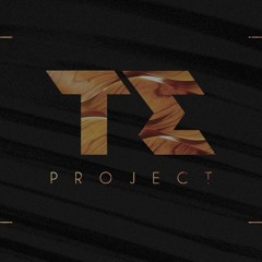 T.E PROJECT