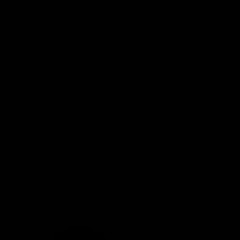 Vae