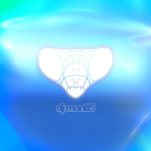 dj mantis - vegan gimbap