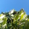 sun.earthly