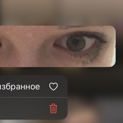 xd