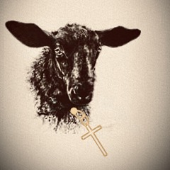 ONEEJÆYY(J.Y)◾️🐑✨