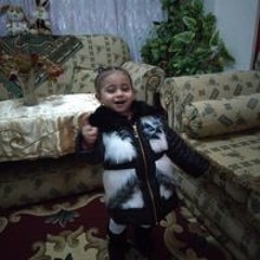 ادم شمس