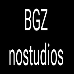 badgznostudios