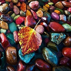 Emran Taheri - Basha Ke عمران طاهرى - باشه كه.mp3