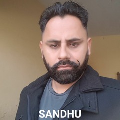 Mandeep Sandhu