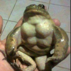 RalphTheFrog